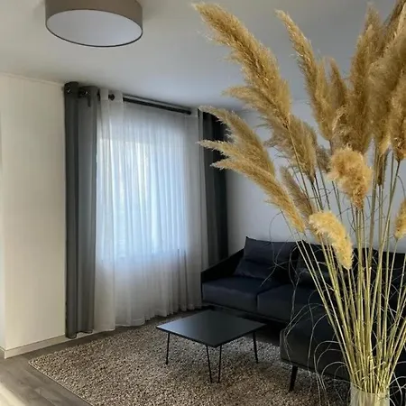 3 In Frankfurt * קלסטרבאך